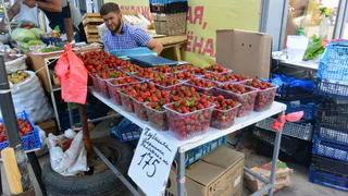 Россельхозбанк открывает для фермеров «зеленый коридор»