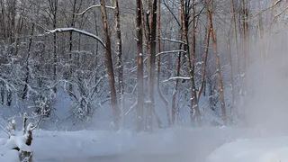 Новогодняя ночь и день в Татарстане будут морозными и снежными

