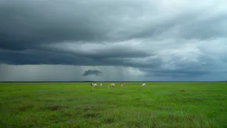 В Рязанской области объявлено метеопредупреждение