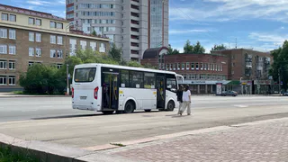 Роман Вильфанд рассказал, что лето придет на два месяца раньше: аномальная жара уже в начале марта