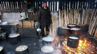 Сыктывкарский приют для собак может остаться без поваров