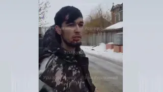 В Рязанской области работник с кровавыми ранами рассказал на видео о побеге тигрицы