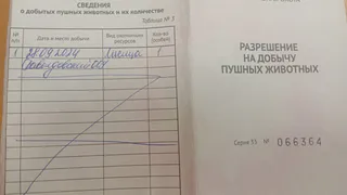 Охотникам Владимирской области напоминают о сроках отчетности за сезон