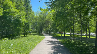 В Пензе 26 апреля прошел Всероссийский субботник