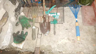 В центре Рязани пенсионер выращивал наркотик для изготовления конфет