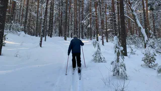 Лыжные трассы Нижнекамска: где взять инвентарь и когда кататься