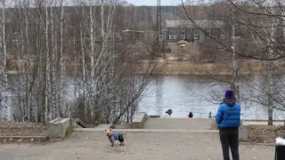 Выпадет выигрышный лотерейный билет: Павел Глоба предсказал одному знаку в январе стать суперзвездой