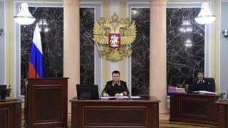 Адвокаты бывшего замминистра рязанского здравоохранения Петиной попросили вернуть уголовное дело прокурору