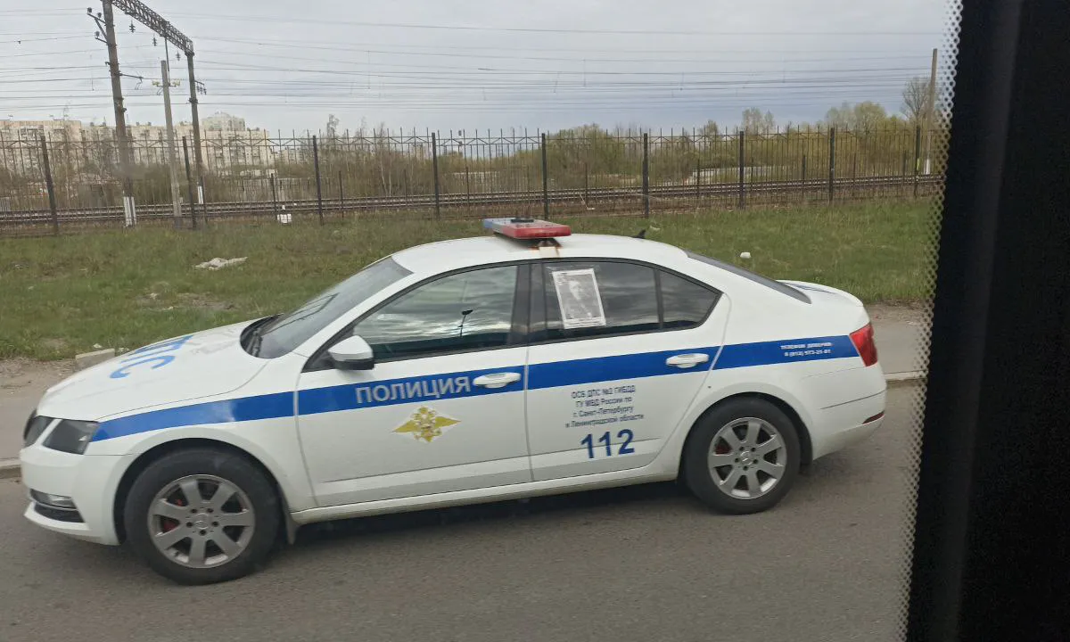 C 14 июня машины будут останавливать и изымать: лучше проверьте свое авто