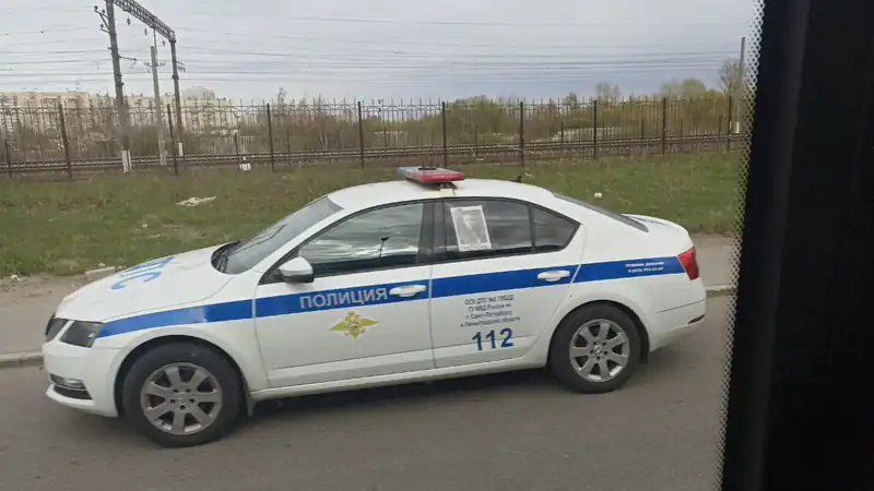 C 14 июня машины будут останавливать и изымать: лучше проверьте свое авто
