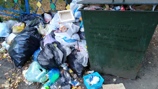 "Мусор не вывозят на протяжении нескольких недель": рязанка пожаловалась на грязь в селе Подвязье