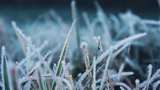 9 сентября в Рязанской области ожидается -2 градуса