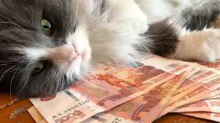 Как получить от 30 до 100 тысяч рублей к пенсии - эксперты назвали законный метод