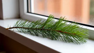 Мороз -40 за окном, а дома тепло: спасаюсь копеечным средством, которое ставлю на подоконник