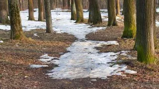 Весна решила взять в России передышку