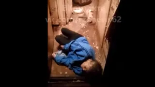 Крики и запах: в Рязани пенсионерке с множеством кошек в квартире требуется помощь