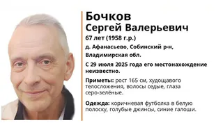 В Собинском районе ищут 67-летнего мужчину в коричневой футболке в белую полоску