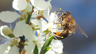 В Коми 11 апреля ожидается сильный южный ветер и осадки