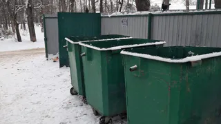 Свинство в Дягилеве: мэрия ответила на жалобу рязанки насчет помойки на Белякова