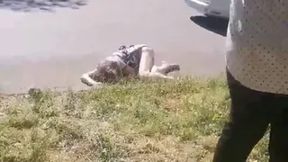 В Рязани ищут свидетелей смертельного ДТП с Lada на улице Циолковского