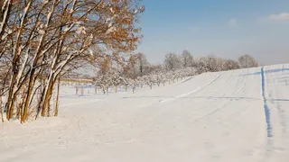 На стадионе в Коврове обнаружили труп девушки