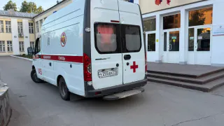 За прошедшую неделю в Рязанской области от укусов клещей пострадали около 30 человек