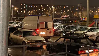 Голова почти отрублена: известны новые подробности жестокого убийства в Касимовском районе