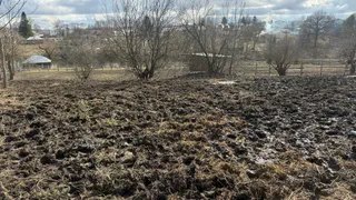 В Рязанской области вернут ещё 11 тысяч гектаров земель в сельское использование