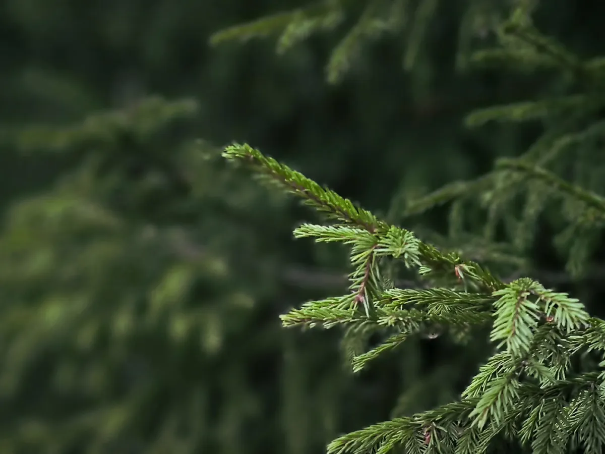 Погода в Челябинской области 5 апреля: атмосферный фронт принесет осадки