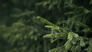 Погода в Челябинской области 5 апреля: атмосферный фронт принесет осадки