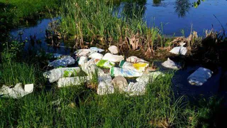 Федоровское проклятье: близ деревни под Киржачом - новое кладбище живности