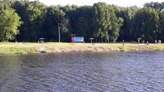 Гектар за 5 миллионов: в Лесопарке продают земельный участок