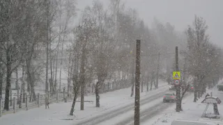 Госавтоинспекция Нижнекамска просит воздержаться от поездок за город