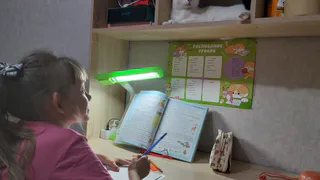 «56% родителей уже не справляются»: сколько на самом деле стоят репетиторы для рязанских школьников