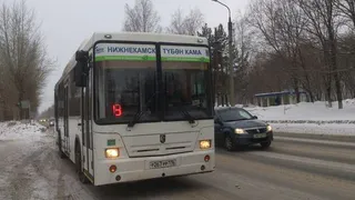 Давай быстрее: как сократить интервалы движения автобусов?