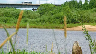 Экологическая ситуация рек Коми: не выявили ни чистых, но и не критически загрязненных водных артерий