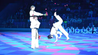 Более 10 тысяч зрителей собрал Всероссийский фестиваль боевых искусств в Брянске