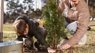 Жители Магнитогорска высадили почти 200 тысяч сеянцев сосны