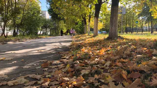 Осенняя погода спешит в Челябинскую область