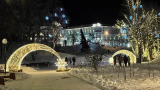 Мэр Рязани заявила о готовности городских служб к снегопадам и оттепели