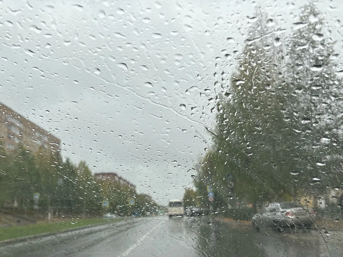 Лето на паузе: 27 июня Челябинскую область накроют дожди с грозами