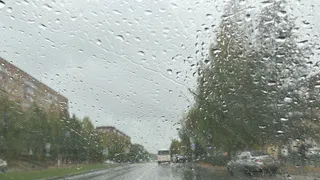 Лето на паузе: 27 июня Челябинскую область накроют дожди с грозами