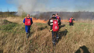 Во Владимире потушили угрожавший свинокомплексу пожар на участке 4 гектара