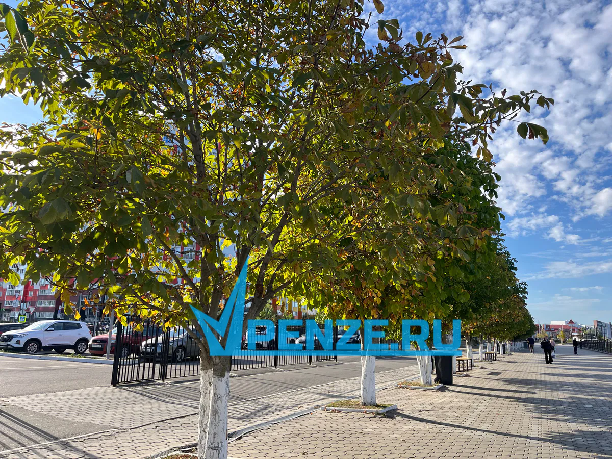 В Пензенской области отмечается всплеск аболеваемости ОРВИ