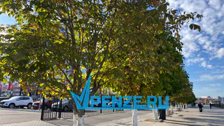 В Пензенской области отмечается всплеск аболеваемости ОРВИ