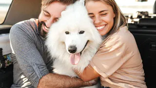 Приметы и запреты на 25 марта: животных не обижать - выйдет боком