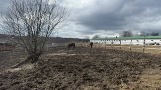 В поселке Мурмино на частных территориях устроили незаконную свалку