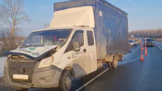 Смертельное ДТП на 526 км М5 «Урал» унесло жизнь пешехода