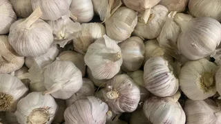 Пока нет стрелок у чеснока — срочно: рассыпаю стакан по грядке — и головки вырастут с ладошку