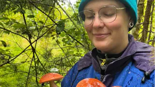 Погода дарит последние солнечные деньки: сколько ещё продержится тепло, рассказал синоптик